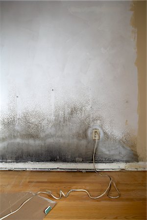 power outlet - Electrical Outlet in Moldy Wall Foto de stock - Sin royalties Premium, Código: 600-03069448