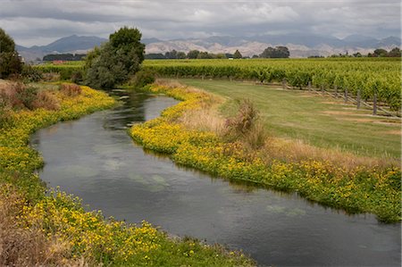 Blenheim, South Island, New Zealand Foto de stock - Sin royalties Premium, Código: 600-03075133