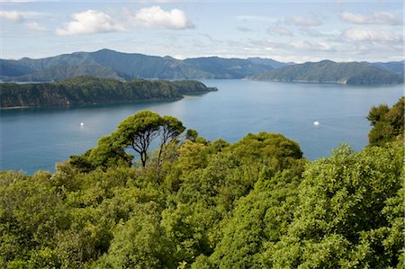 queen charlotte track marlborough sounds new zealand - Motuara Island Bird Sanctuary, Queen Charlotte Sound, South Island, New Zealand Stock Photo - Premium Royalty-Free, Code: 600-03075158