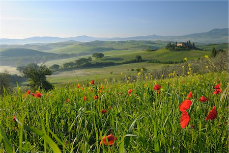 san quirico d'orcia - San Quirico d'Orcia, Province de Sienne, Val d'Orcia, Toscane, Italie Photographie de stock - Premium Libres de Droits, Code: 600-03075548