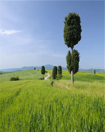 Pienza, Siena Province, Val d'Orcia, Tuscany, Italy Stock Photo - Premium Royalty-Free, Code: 600-03075564