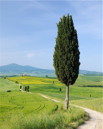 europe villa - Pienza, Siena Province, Val d'Orcia, Tuscany, Italy Stock Photo - Premium Royalty-Free, Code: 600-03075561