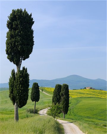 Pienza, Siena Province, Val d'Orcia, Tuscany, Italy Stock Photo - Premium Royalty-Free, Code: 600-03075563