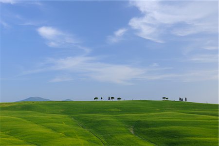 San Quirico d'Orcia, Val d'Orcia, Province of Siena, Tuscany, Italy Foto de stock - Sin royalties Premium, Código: 600-03075576