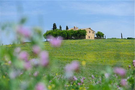 simsearch:600-03075591,k - Val d'Orcia, Tuscany, Italy Stock Photo - Premium Royalty-Free, Code: 600-03075572