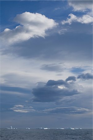 simsearch:700-00169204,k - Icebergs flottant dans l'océan, l'île de Géorgie du Sud, Antarctique Photographie de stock - Premium Libres de Droits, Code: 600-03083942