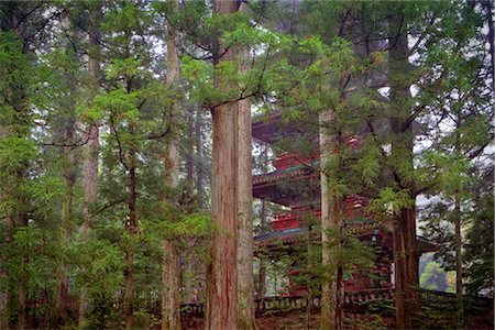 santuario - Pagoda in Forest, Nikko Toshogu Shrine, Nikko, Japan Foto de stock - Sin royalties Premium, Código: 600-03152245