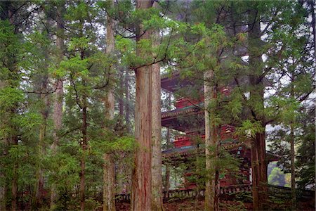 sanctuaire - Pagode en forêt, Nikko Toshogu Shrine, Nikko, Japan Photographie de stock - Premium Libres de Droits, Code: 600-03152245