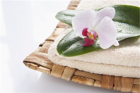 spa towel not people - Orchid and Towel Stock Photo - Premium Royalty-Free, Code: 600-03152637