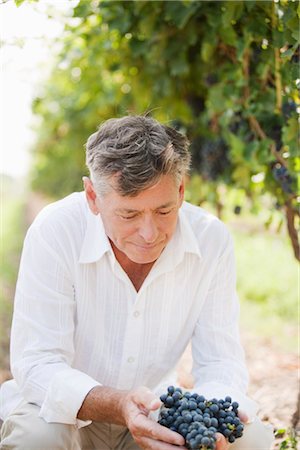 Wine Maker Examining Grapes Foto de stock - Sin royalties Premium, Código: 600-03152992