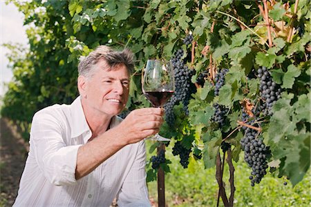 single man drinking wine - Man in Vineyard Examining a Glass of Wine Stock Photo - Premium Royalty-Free, Code: 600-03153028