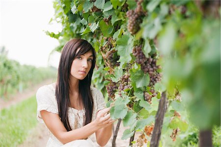 Wine Maker Checking Grapes Stock Photo - Premium Royalty-Free, Code: 600-03153023