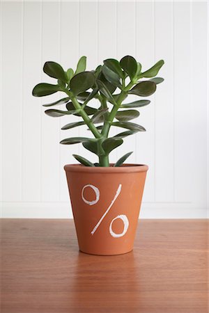 simsearch:600-03178755,k - Potted Jade Plant with Percentage Sign Stock Photo - Premium Royalty-Free, Code: 600-03178754