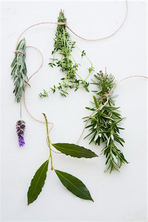 rosemary white background - Assorted Herbs Stock Photo - Premium Royalty-Free, Code: 600-03171574