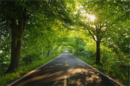 Road, Island of Ruegen, Mecklenburg, Mecklenburg-Vorpommern, Germany Stock Photo - Premium Royalty-Free, Code: 600-03194826