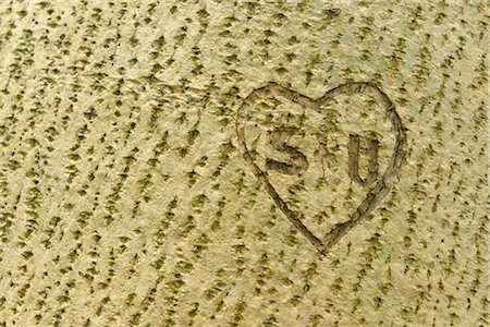 Coeur et initiales creusées dans le tronc d'arbre Photographie de stock - Premium Libres de Droits, Code: 600-03194830