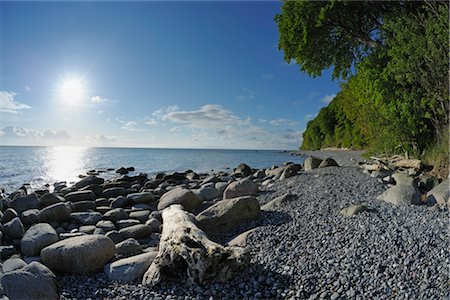 rügen - Nationalpark Jasmund, Insel Ruegen, Ruegen District, Mecklenburg, Mecklenburg-Vorpommern, Deutschland Stockbilder - Premium RF Lizenzfrei, Bildnummer: 600-03210250