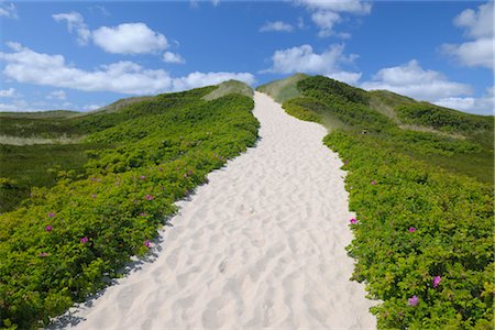 sandy path - Sylt, North Frisian Islands, Nordfriesland, Schleswig-Holstein, Germany Stock Photo - Premium Royalty-Free, Code: 600-03210268