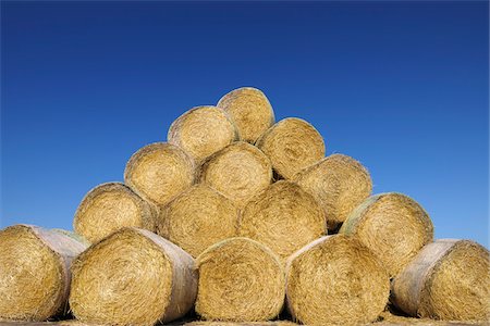 enroulé - Bales of Hay, Ruegen, Ruegen District, Mecklenburg, Mecklenburg-Vorpommern, Germany Photographie de stock - Premium Libres de Droits, Code: 600-03210285