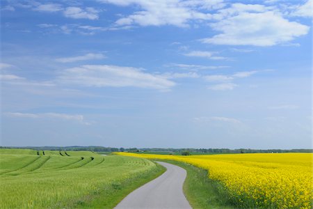 road to big sky - Ruegen, Ruegen District, Mecklenburg, Mecklenburg-Vorpommern, Germany Foto de stock - Sin royalties Premium, Código: 600-03210283