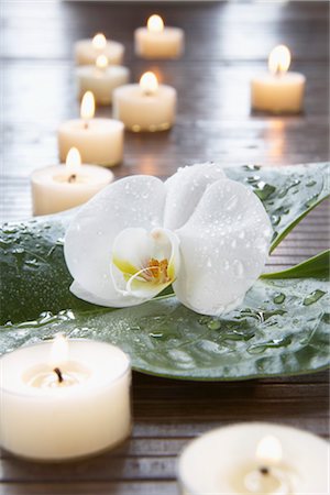 Orchidée et bougies Photographie de stock - Premium Libres de Droits, Code: 600-03210352