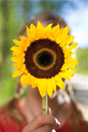 soledad - Femme tenant un tournesol, Steamboat Springs, comté de Routt, Colorado, USA Photographie de stock - Premium Libres de Droits, Code: 600-03210489