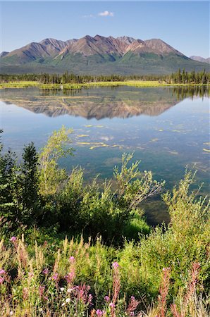 Mentasta Mountains, Mentasta Pass, Alaska, USA Stock Photo - Premium Royalty-Free, Code: 600-03240609