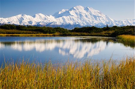 río neva - Mount McKinley, Denali National Park and Preserve, Alaska, USA Foto de stock - Sin royalties Premium, Código: 600-03240660