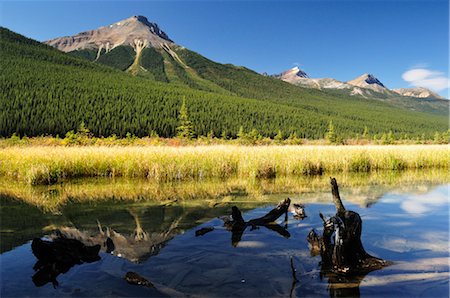 simsearch:600-06125579,k - Waterfowl Lake, Jasper National Park, Alberta, Canada Foto de stock - Sin royalties Premium, Código: 600-03240690