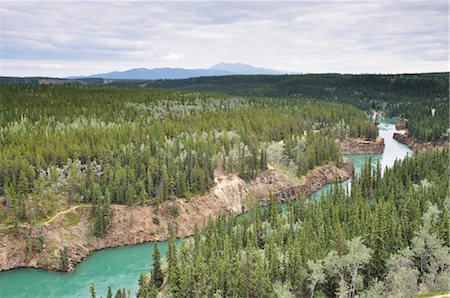 forêt boréale - Yukon River et le Canyon Miles, près de Whitehorse, territoire du Yukon, Canada Photographie de stock - Premium Libres de Droits, Code: 600-03240746