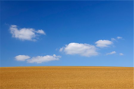 semer - Sowed Field, Schweinfurt, Bavaria, Germany Foto de stock - Sin royalties Premium, Código: 600-03240836