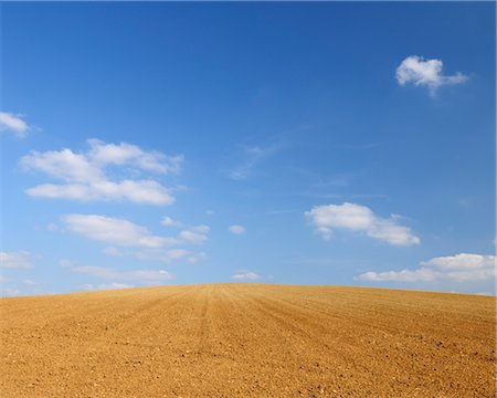 Sowed Field, Bavaria, Germany Stock Photo - Premium Royalty-Free, Code: 600-03240838