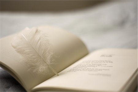 feathers studio - Book and Feather Bookmark Stock Photo - Premium Royalty-Free, Code: 600-03243841