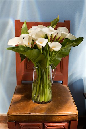 Vase of Calla Lilies Foto de stock - Sin royalties Premium, Código: 600-03294787