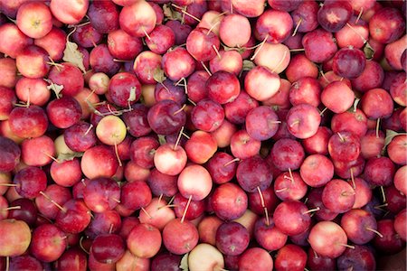 farm stand - Biologique pommes, Penticton, vallée de l'Okanagan, en Colombie-Britannique, Canada Photographie de stock - Premium Libres de Droits, Code: 600-03294795