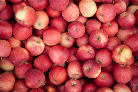 frutas biológicas - Organic Apples, Penticton, Okanagan Valley, British Columbia, Canada Foto de stock - Sin royalties Premium, Código: 600-03294798