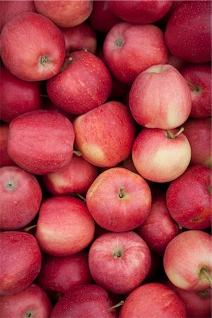 fruits bio - Biologique pommes, Penticton, vallée de l'Okanagan, en Colombie-Britannique, Canada Photographie de stock - Premium Libres de Droits, Code: 600-03294802
