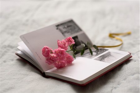 Open Book with Roses Foto de stock - Sin royalties Premium, Código: 600-03298868