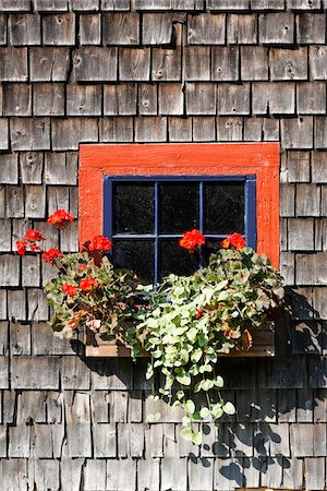 Window and Flower Box, Maine, USA Stock Photo - Premium Royalty-Free, Code: 600-03290229