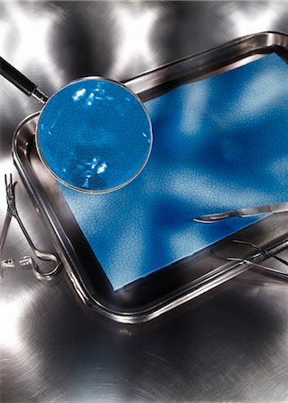 Magnifying Glass Over Dissection Tray Foto de stock - Sin royalties Premium, Código: 600-03333174
