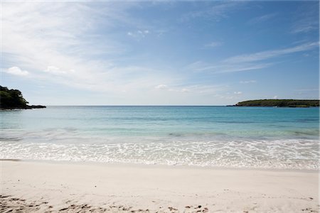 puerto rico beach - Beach, Vieques, Puerto Rico Stock Photo - Premium Royalty-Free, Code: 600-03368700