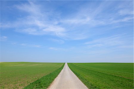 Chemin d'accès dans les champs au printemps, Halbturn, Burgenland, Autriche Photographie de stock - Premium Libres de Droits, Code: 600-03361629