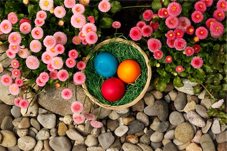 easter basket not people - Easter Eggs and English Daisies Foto de stock - Sin royalties Premium, Código: 600-03361639