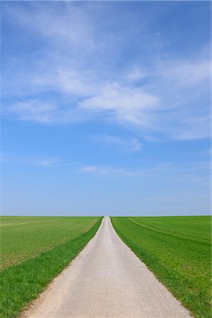 Chemin d'accès dans les champs au printemps, Halbturn, Burgenland, Autriche Photographie de stock - Premium Libres de Droits, Code: 600-03361630