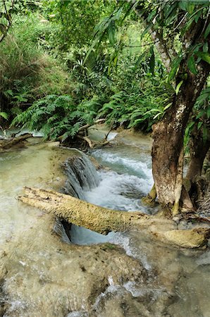 Tat Kuang Si Waterfall, Luang Prabang, Province de Louangphabang, Laos Photographie de stock - Premium Libres de Droits, Code: 600-03404692