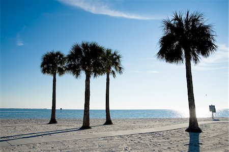 palm trees blue sky - Palm Trees on Beach, Hernando Beach, Florida, USA Stock Photo - Premium Royalty-Free, Code: 600-03439264