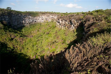 Île de Santa Cruz, aux îles Galapagos, Equateur Photographie de stock - Premium Libres de Droits, Code: 600-03439396