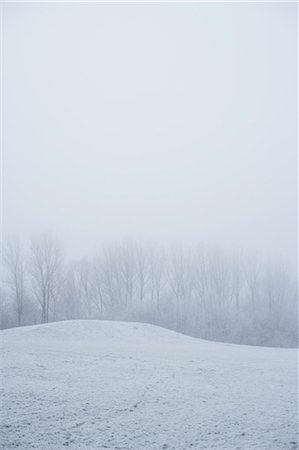 Paysage d'hiver Photographie de stock - Premium Libres de Droits, Code: 600-03445218