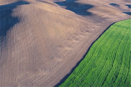 Fields, Palouse Region, Palouse, Whitman County, Washington State, USA Foto de stock - Sin royalties Premium, Código: 600-03445375