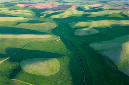 field aerial photos - Fields, Palouse Region, Palouse, Whitman County, Washington State, USA Stock Photo - Premium Royalty-Free, Code: 600-03445380